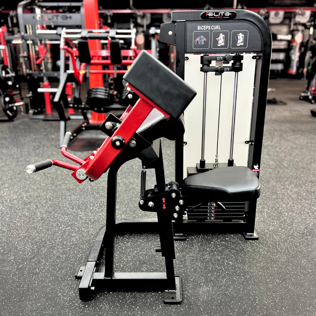 TXS Bicep Curl - Image 3