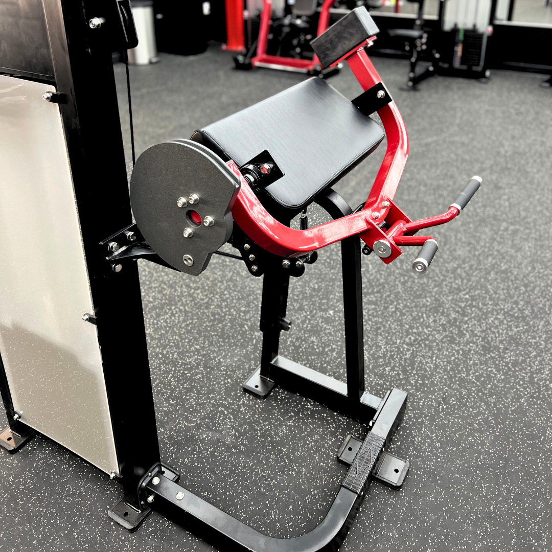 TXS Bicep Curl - Image 6