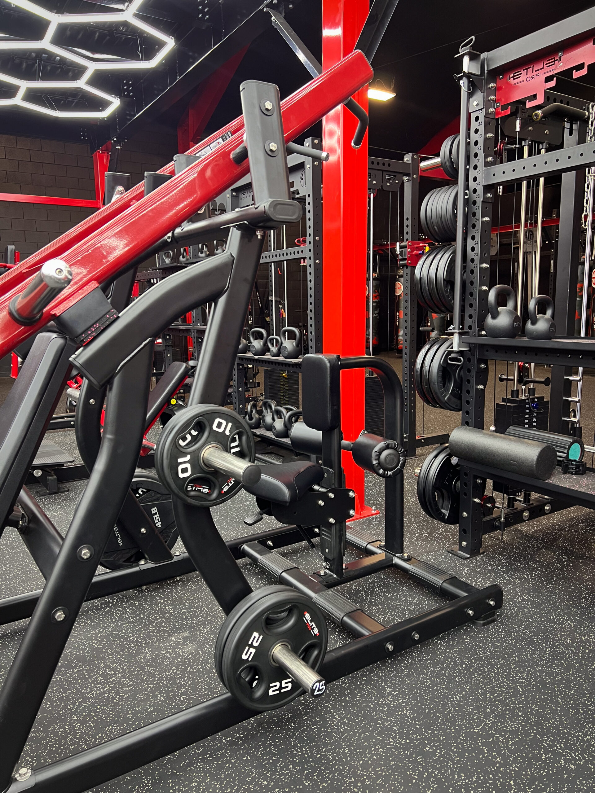 TN Seated Chest Press & Lat Pull Down - Image 8