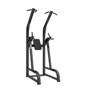 TN Chin Up/Dip & Knee Up