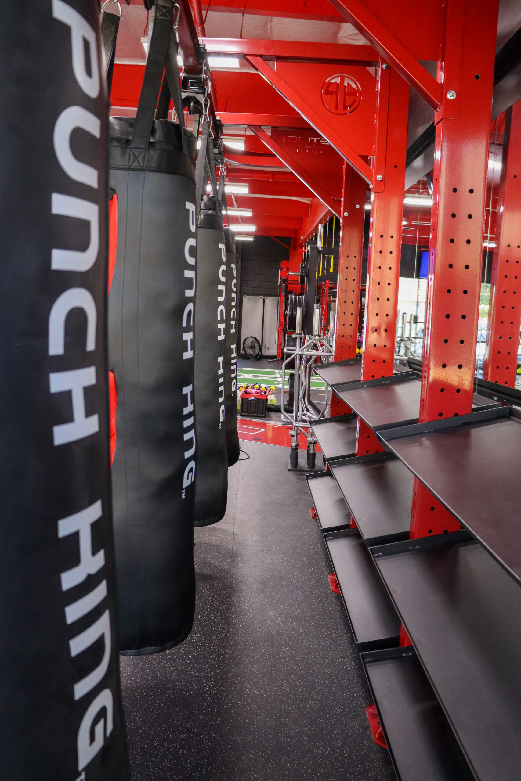 Boxing Modular with Dumbbell Storage - Image 10