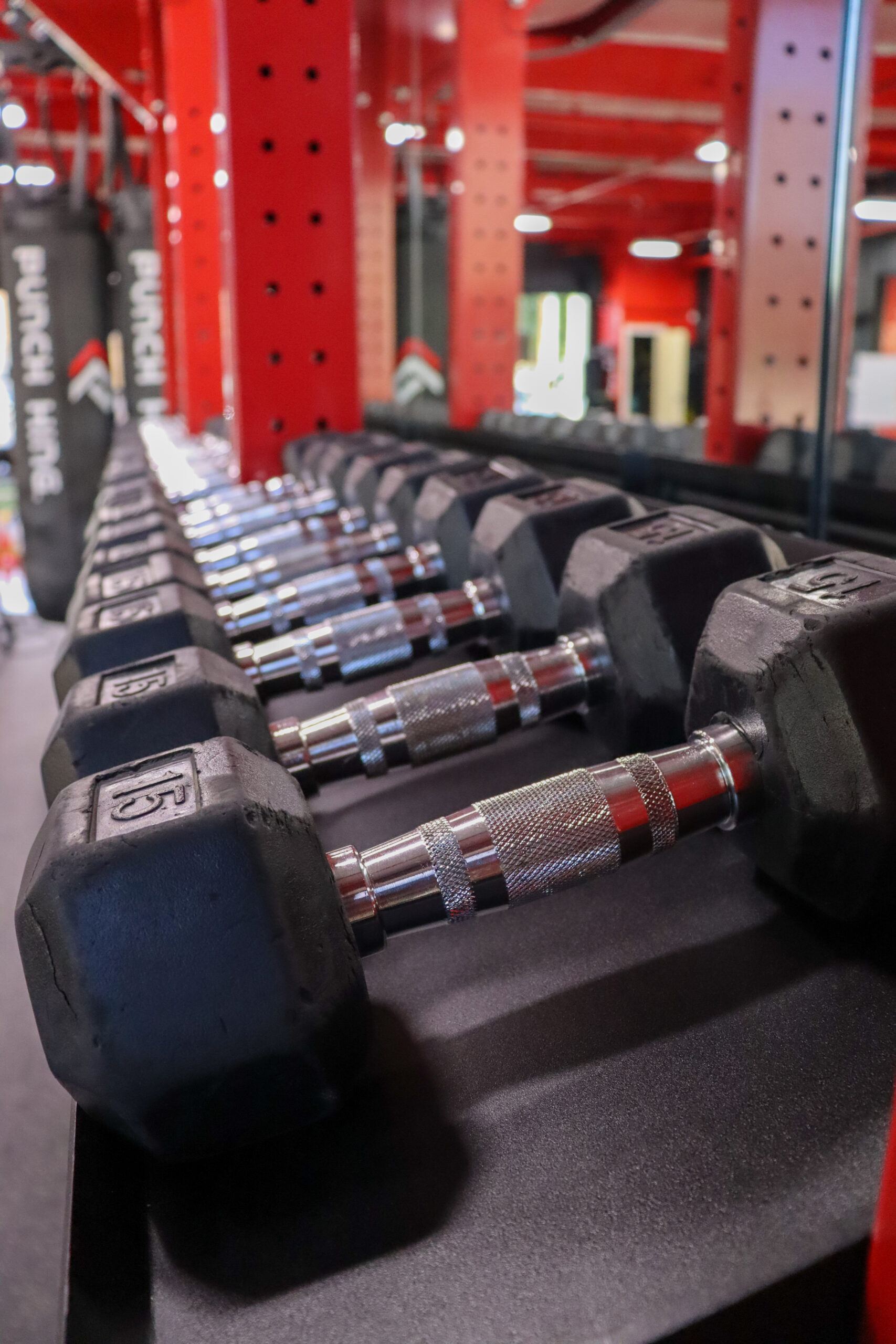 Boxing Modular with Dumbbell Storage - Image 13
