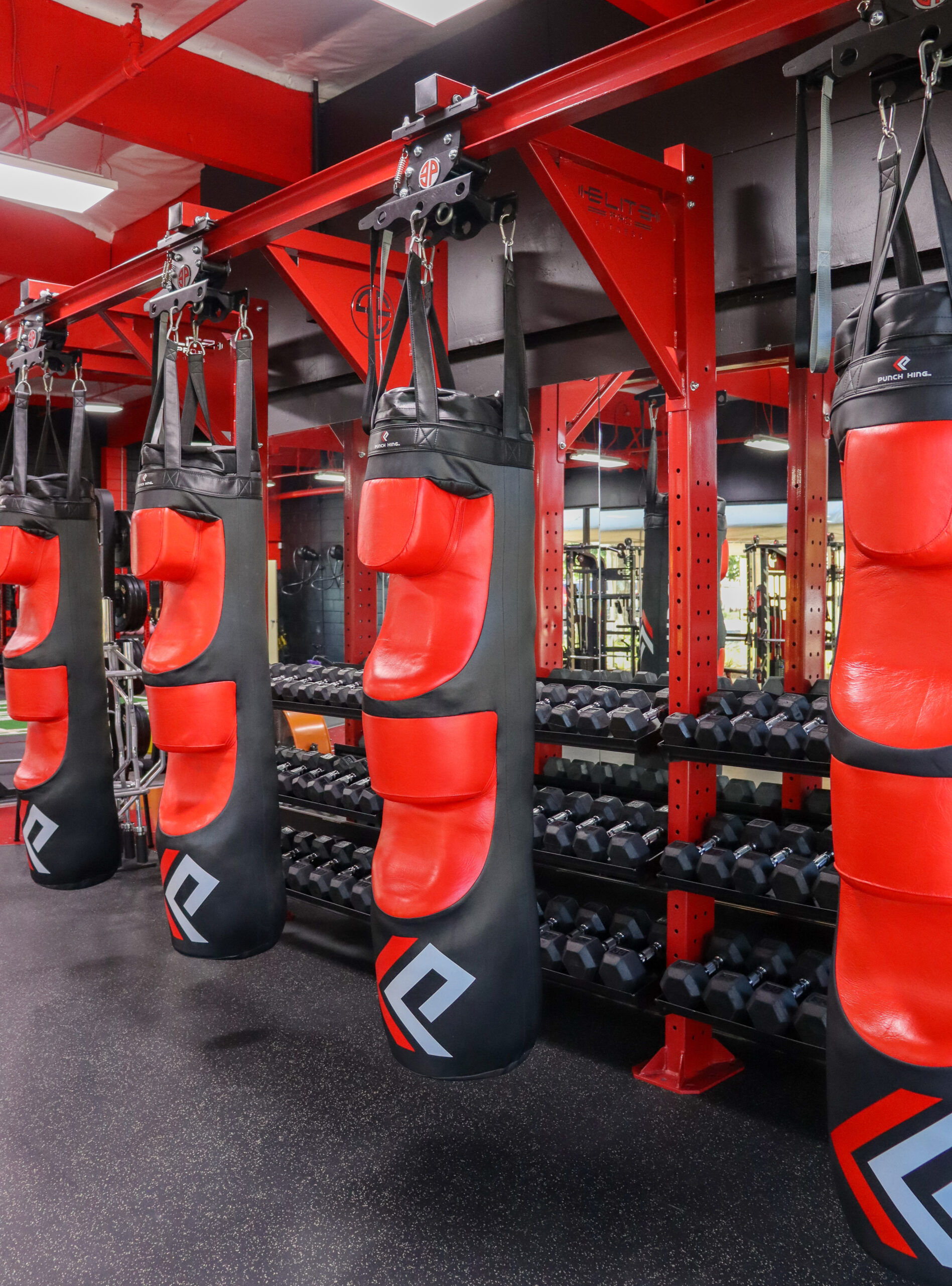 Boxing Modular with Dumbbell Storage - Image 14