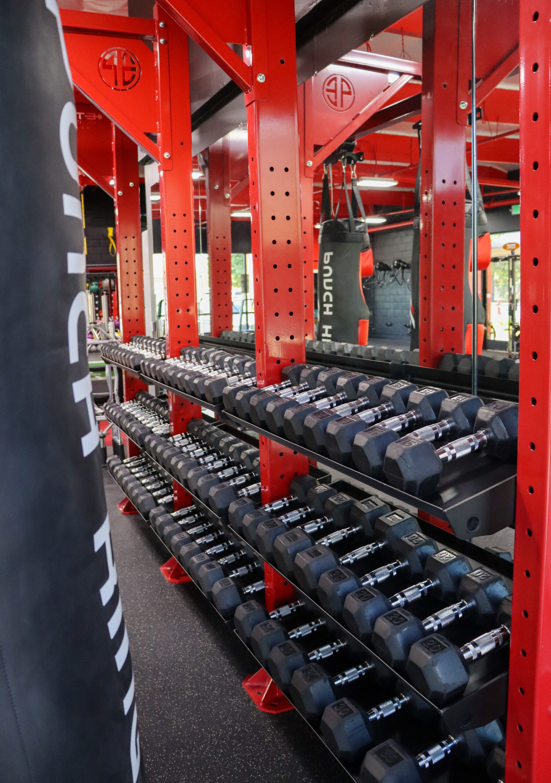Boxing Modular with Dumbbell Storage - Image 15