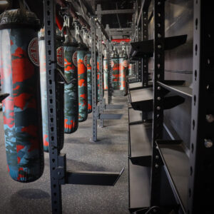 39 Foot Boxing Modular with Crossfit Rig