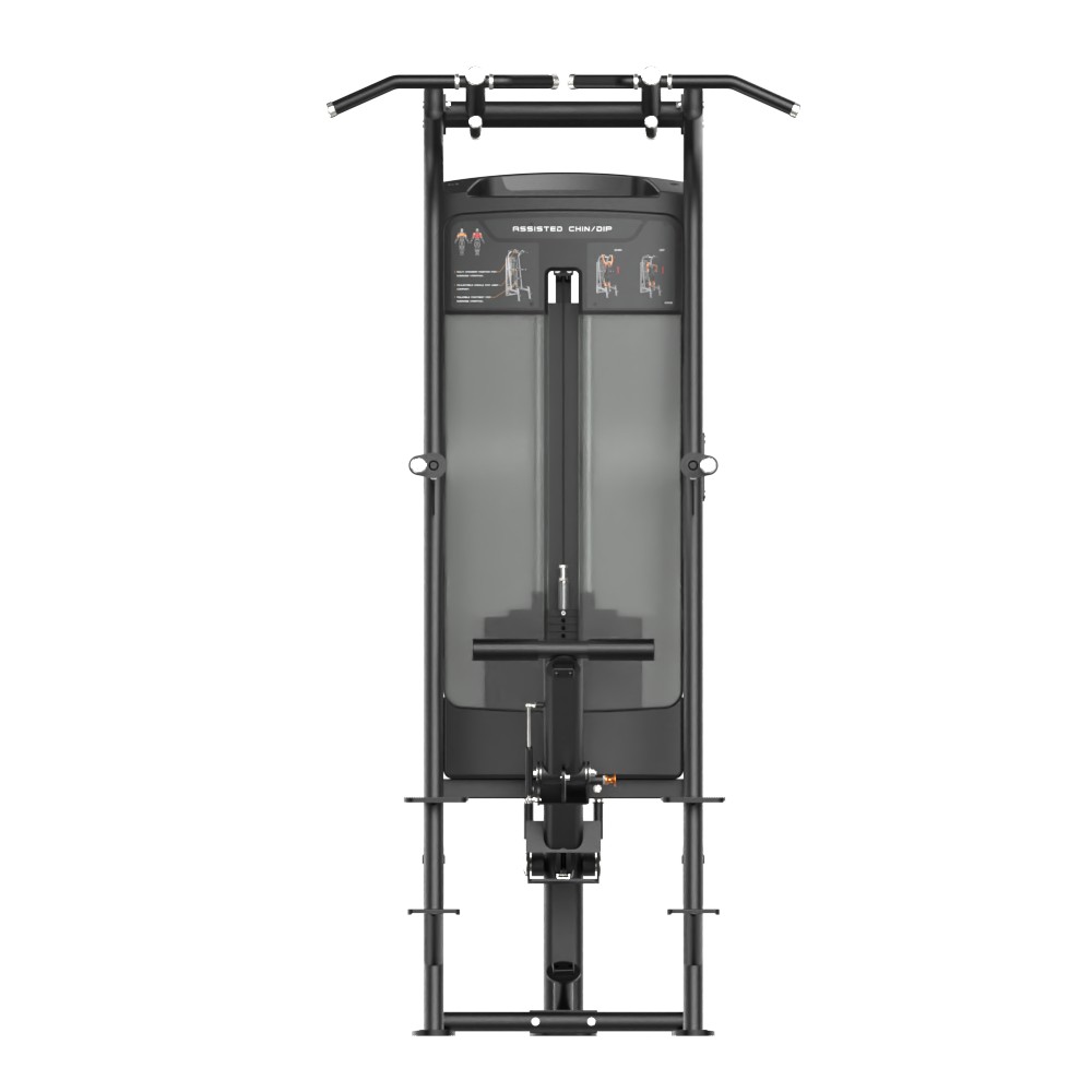 RE Line Assisted Chin/Dip - Image 2