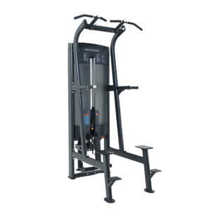 RE Line Assisted Chin/Dip