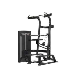 FE Weight-Assisted Chin/Dip Combo