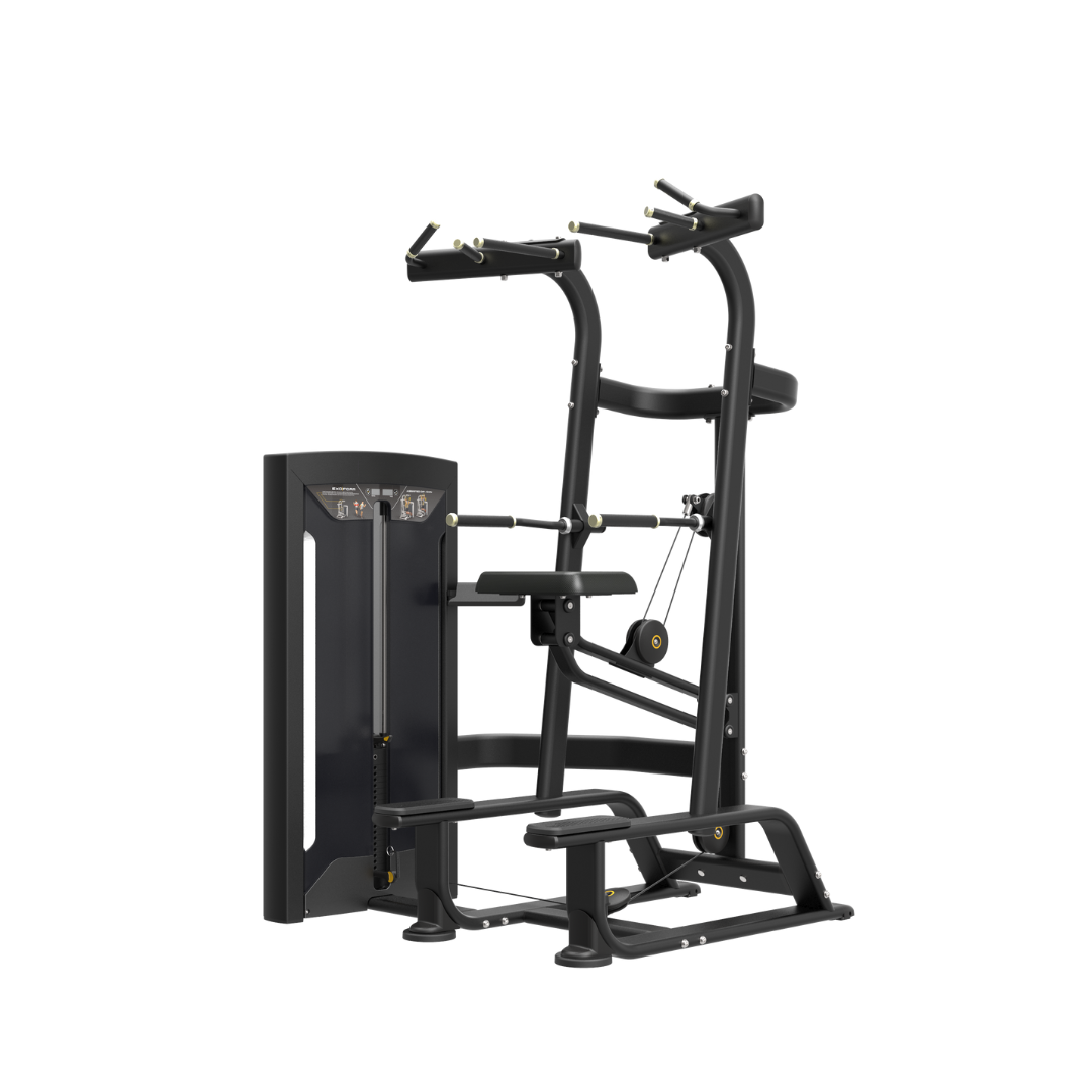 FE Weight-Assisted Chin/Dip Combo