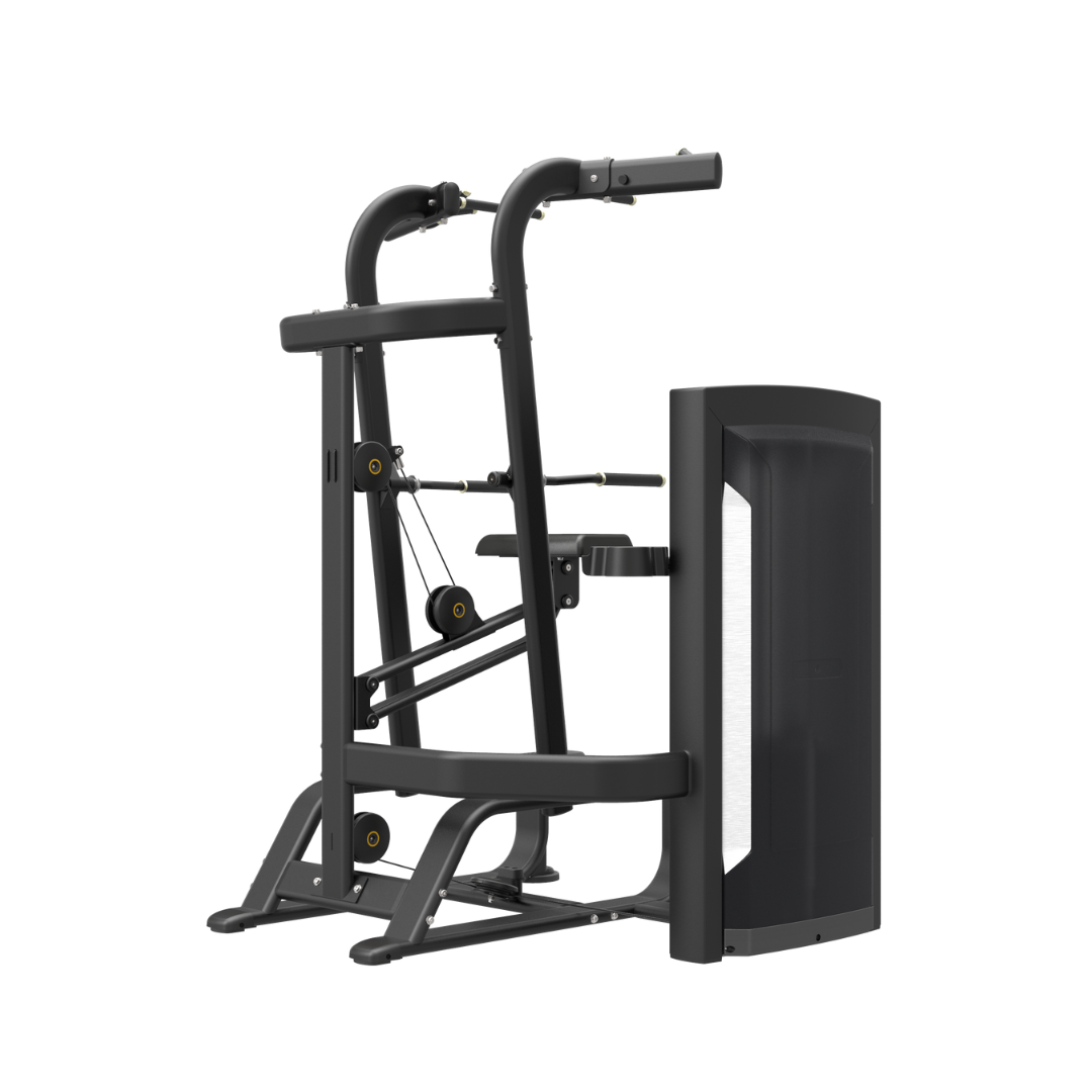 FE Weight-Assisted Chin/Dip Combo - Image 2