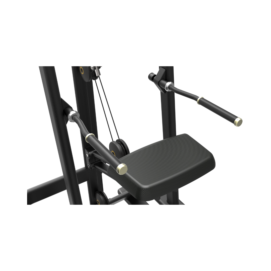 FE Weight-Assisted Chin/Dip Combo - Image 4