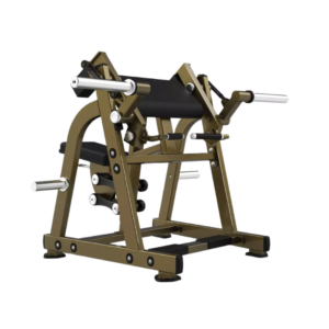 LD SEATED BICEP CURLS