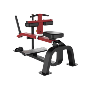 SL SEATED CALF RAISE