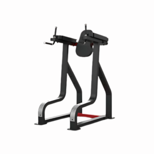 SL VERTICAL KNEE RAISE / DIP STAND