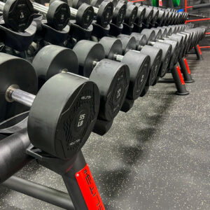 Dumbbells and Kettlebells