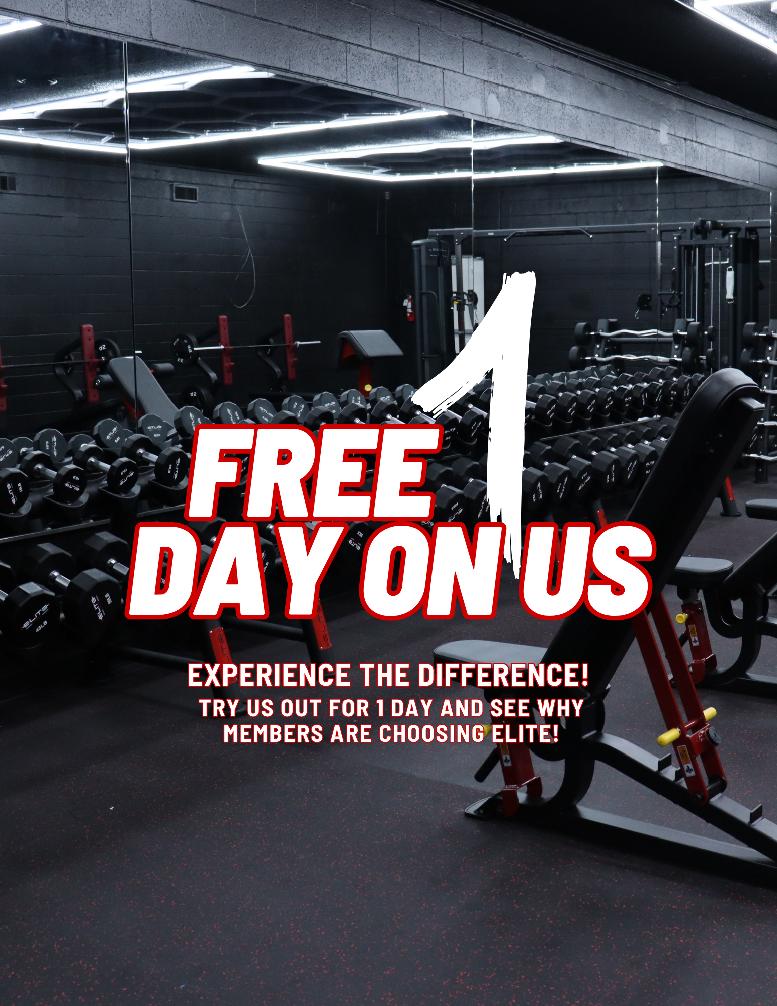 1 Day Free Pass Hayward