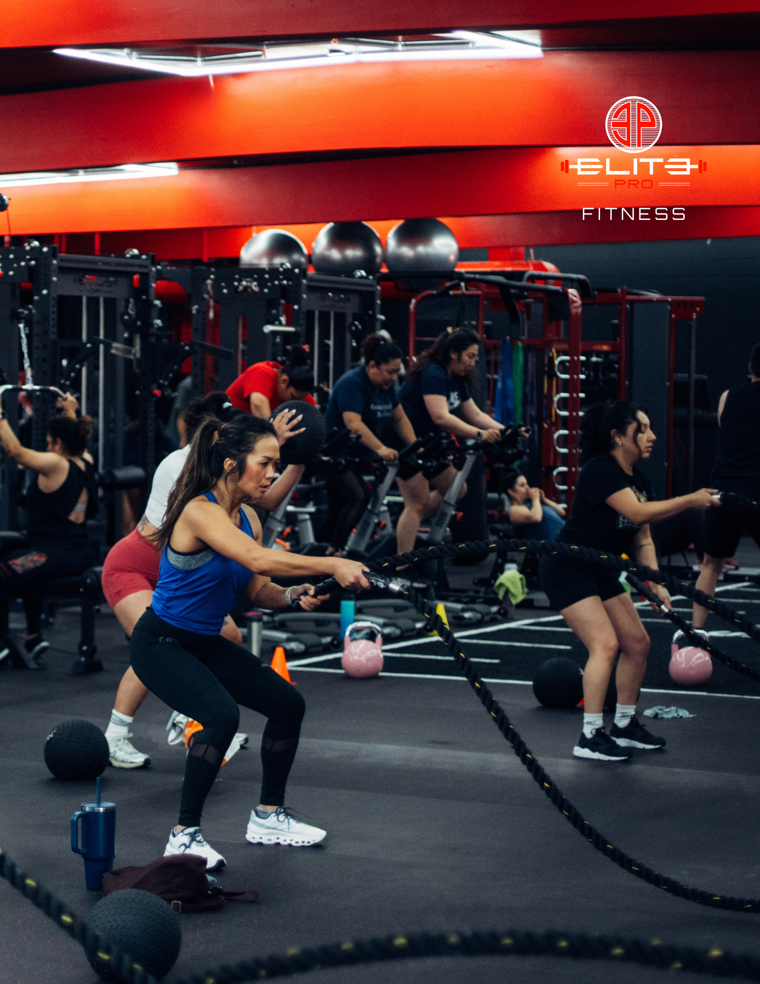 HAYWARD FUNNEL TEXT (11)