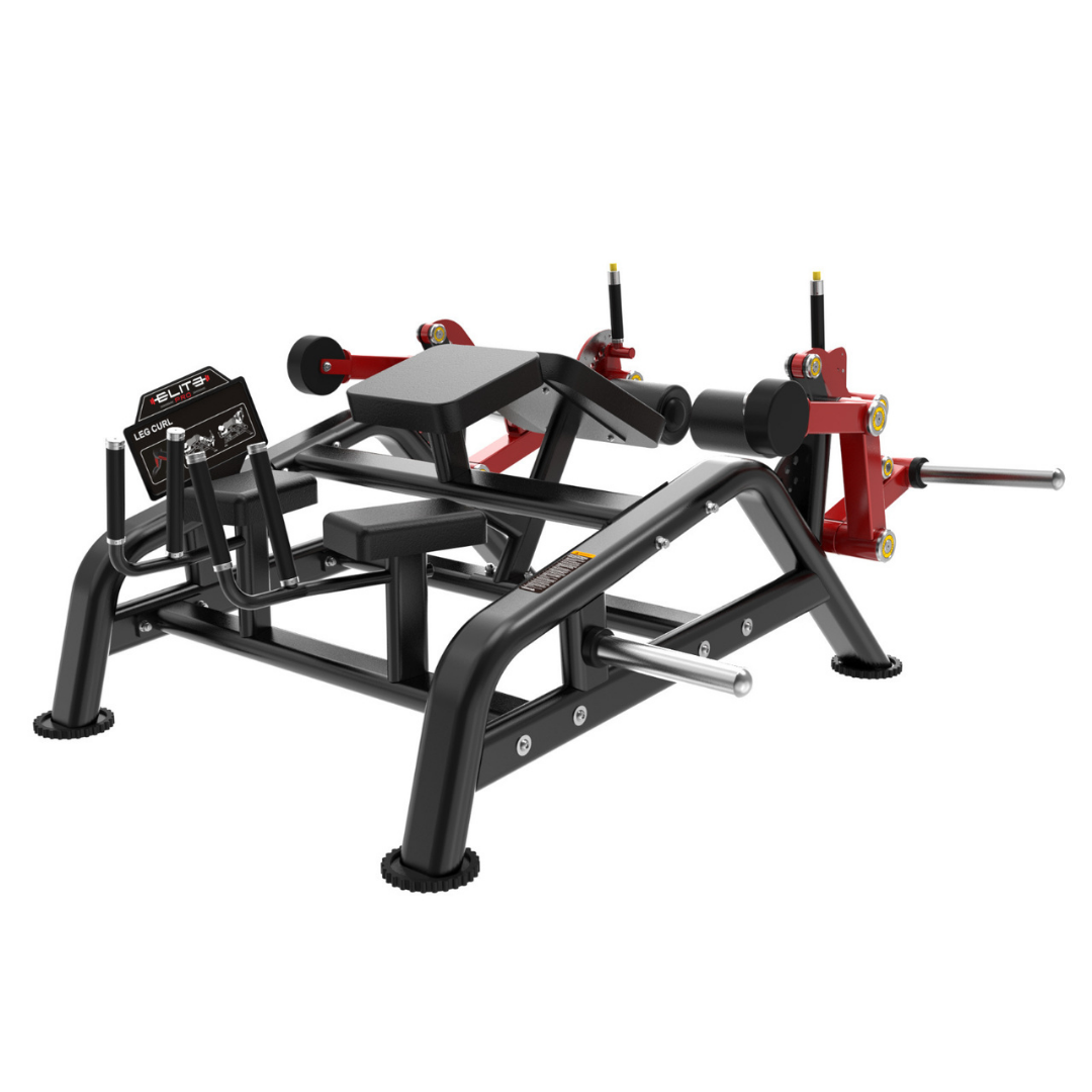 BL Prone Leg Curl - Image 4