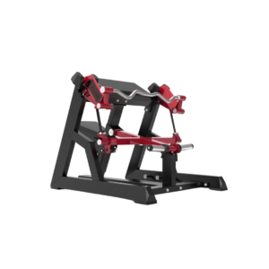 Evolve Line Seated Biceps