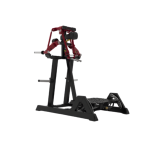 Evolve Line Standing Lateral Raise