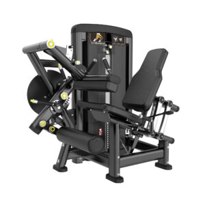 BH Seated Leg Curl/Extension