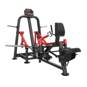 BL Lateral Rowing