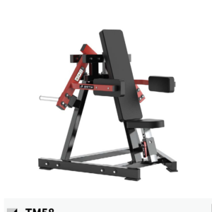TM Lateral shoulder Raise
