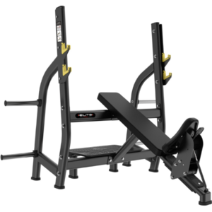 TN Shoulder Press 2