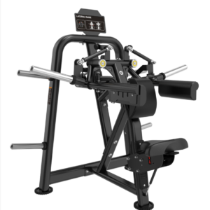 BL Lateral Raise