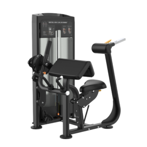 RE Seated Arm Curl/Extension