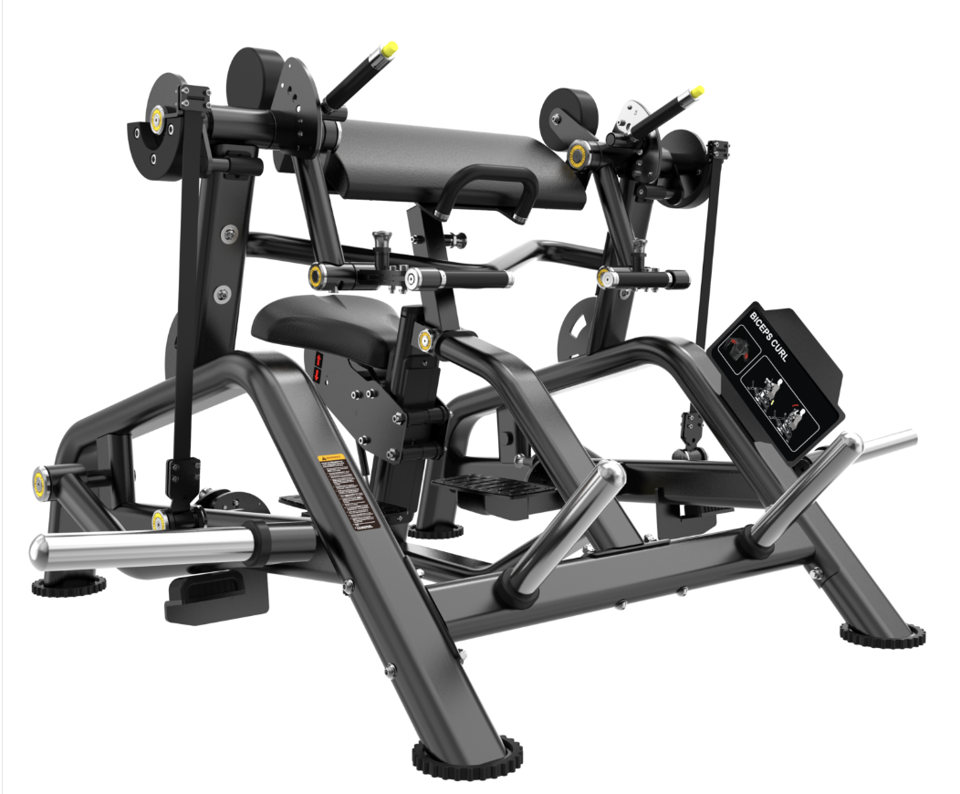 BL Biceps Curl
